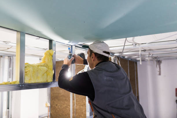 Best Insulation Maintenance and Repair in Tazewell, VA